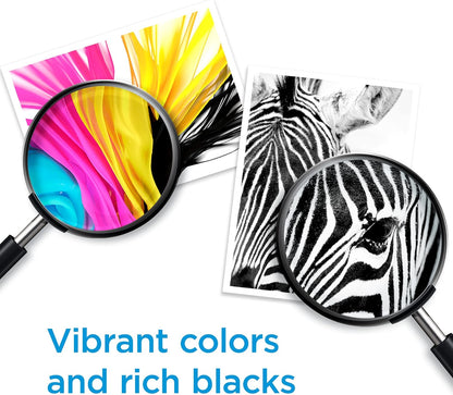 HP 67 Black/Tri-Color Ink Cartridges (2-Pack) | Works with DeskJet 1255, 2700, 4100, Envy 6000, 6400 | Instant Ink Eligible | 3YP29AN | Packaging May Vary